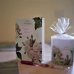 Casa Alice شقة *