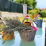 Casa Alice كانوبيو