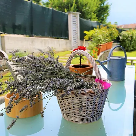 Casa Alice 坎诺比奥