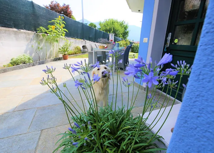 아파트 Casa Alice