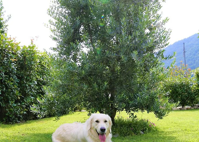 Casa Alice דירה *